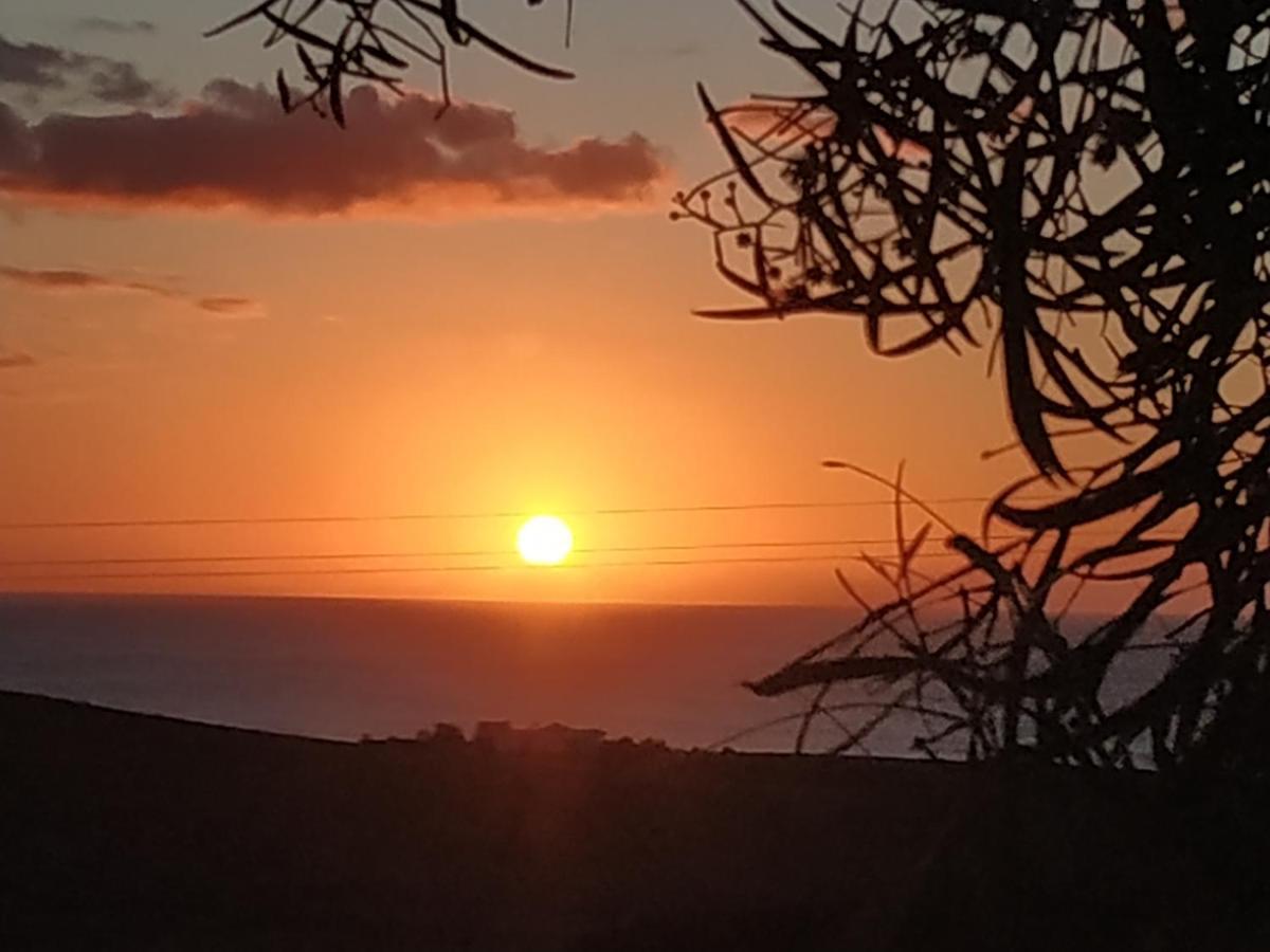 Casita Del Volcanラ・パレッド エクステリア 写真